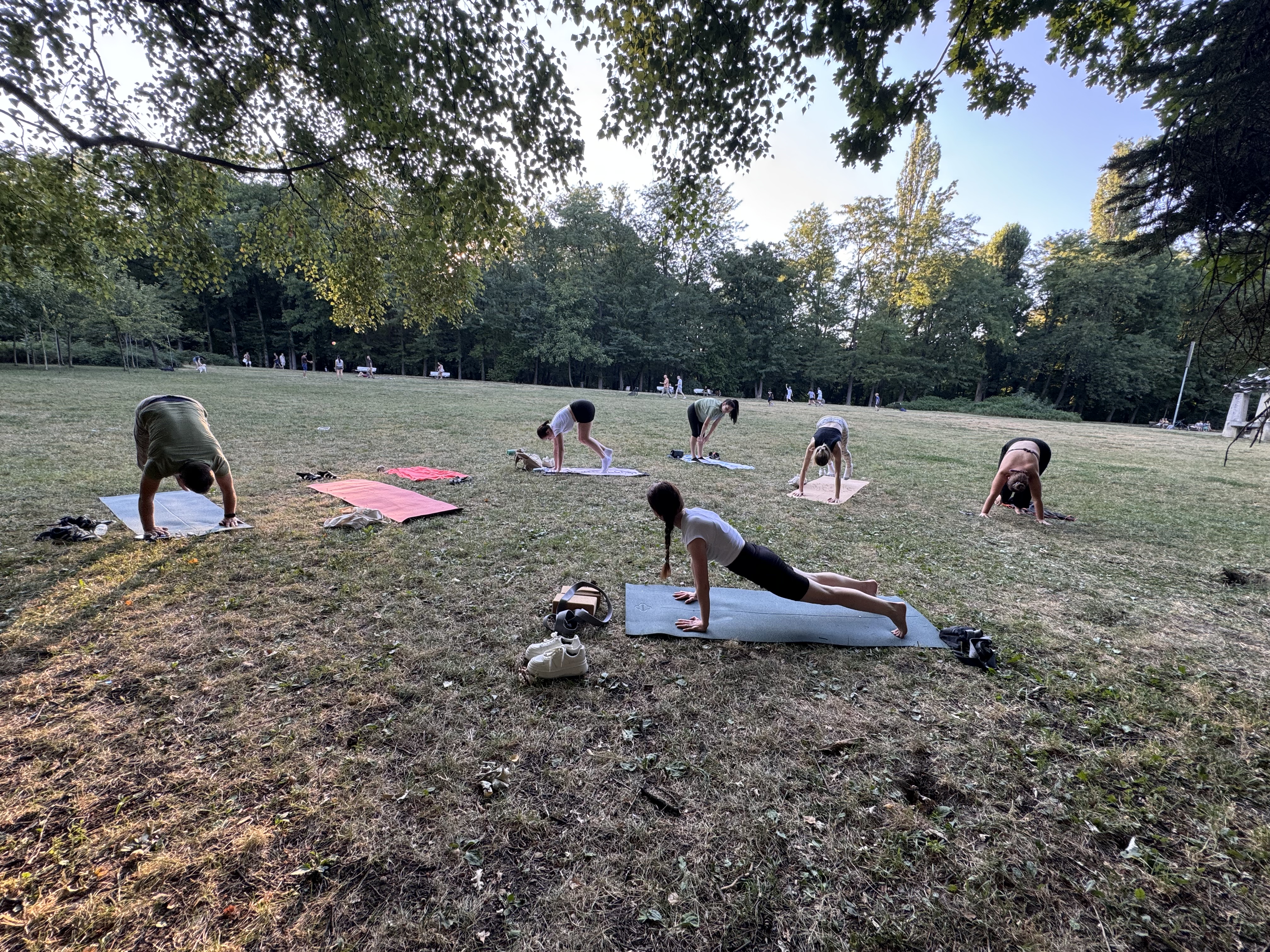 Yoga in Borisova Garden